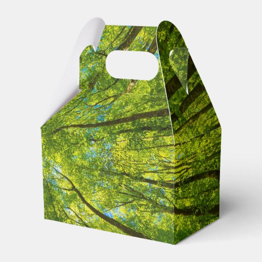 緑の木のを見上げ葉る フェイバーボックス (正面サイド)