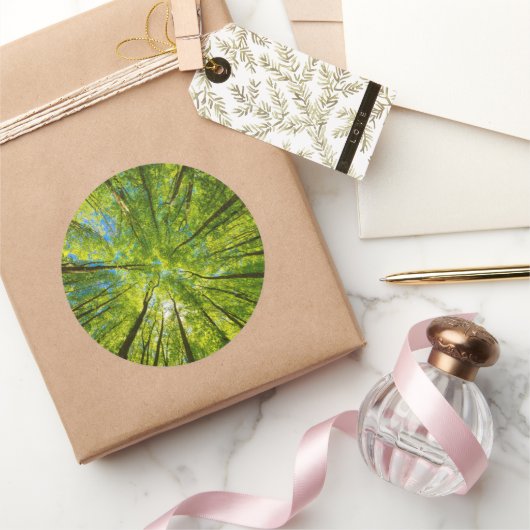 緑の木のを見上げ葉る ラウンドシール (ギフト)