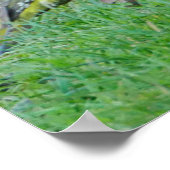 緑の木のペッカーポスター ポスター (角)