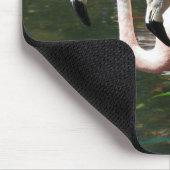 緑の木の池のフラミンゴ マウスパッド (コーナー)