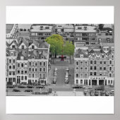 緑の木 ポスター (正面)