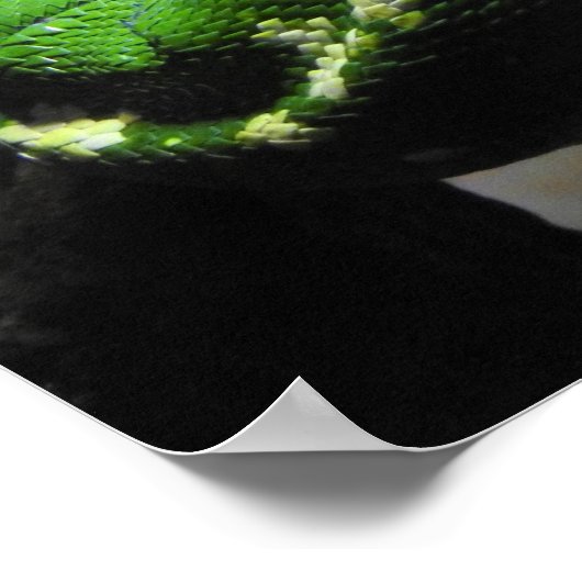 緑の木Python ポスター (角)