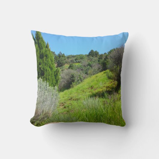 緑の枕の表示 クッション (正面)