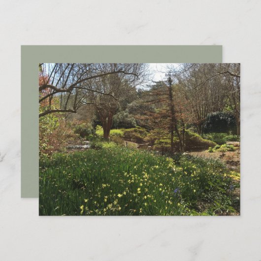 緑の森と黄色い花 ポストカード (正面/裏面)