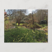 緑の森と黄色い花 ポストカード (正面)