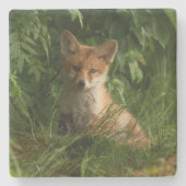 緑の森のかわいいベビーキツネ ストーンコースター (正面)