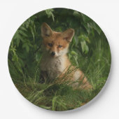 緑の森のかわいいベビーキツネ ペーパープレート (正面)