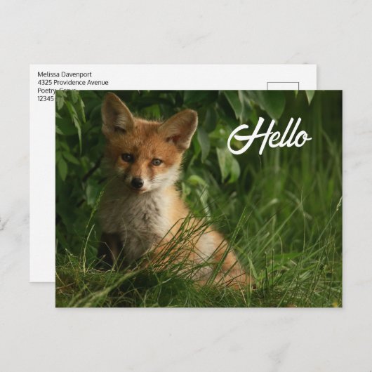 緑の森のかわいいベビーキツネ ポストカード (正面/裏面)