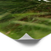 緑の森の中のかわいいベビーキツネ ポスター (角)