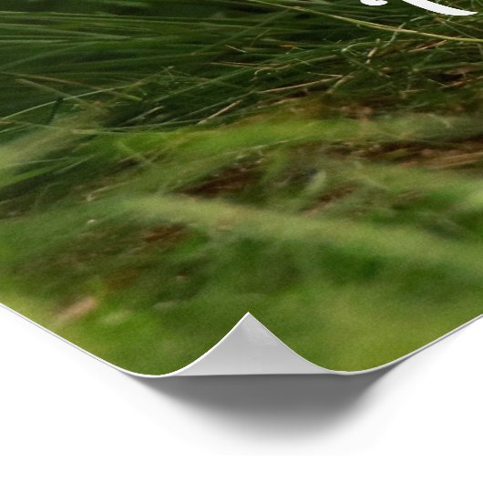 緑の森の中のかわいいベビーキツネ ポスター (角)