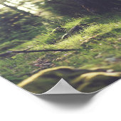 緑の森の写真と引用文自然 ポスター (角)