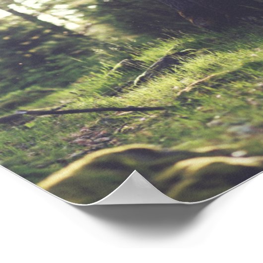 緑の森の写真と引用文自然 ポスター (角)