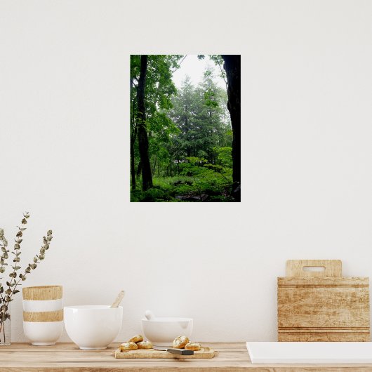 緑の森の夏の写真 ポスター (キッチン)