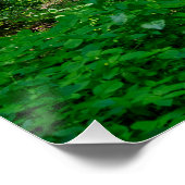 緑の森の小道 ポスター (コーナー)