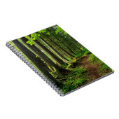 緑の森の歩道 ノートブック (右側)