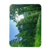 緑の森の風景写真 マグネット (縦)