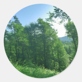 緑の森の風景写真 ラウンドシール