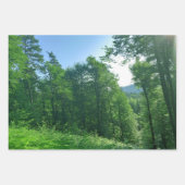 緑の森の風景写真 ラッピングペーパーシート (正面)