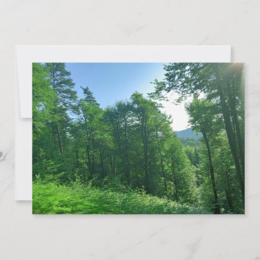 緑の森の風景写真 招待状 (正面)