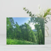 緑の森の風景写真 招待状 (スタンド正面)