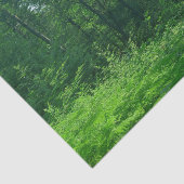 緑の森の風景写真 薄葉紙 (詳細)