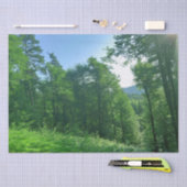 緑の森の風景写真 薄葉紙 (クラフト)