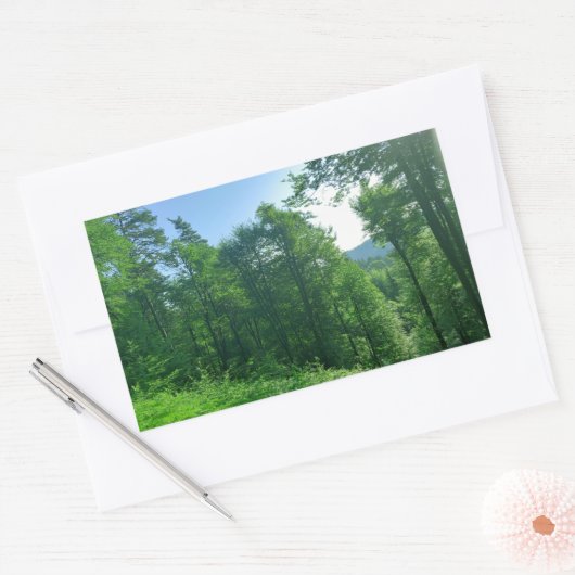 緑の森の風景写真 長方形シール (封筒)