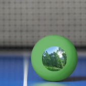 緑の森の風景 卓球ボール (ネット)