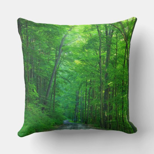 緑の森 クッション (裏面)