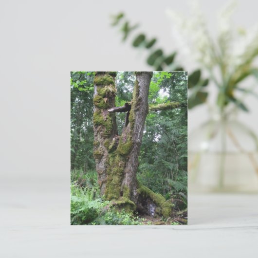 緑の森 ポストカード (スタンド正面)