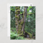 緑の森 ポストカード (正面/裏面)