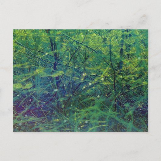 緑の植物とライト ポストカード (正面)