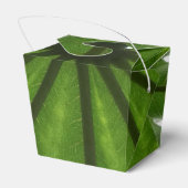 緑の植物の取り出し特典ボックス フェイバーボックス (裏面サイド)