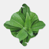 緑の植物の取り出し特典ボックス フェイバーボックス (折り畳みなし)