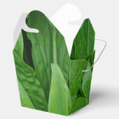 緑の植物の取り出し特典ボックス フェイバーボックス (オープン)