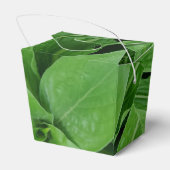 緑の植物の取り出し特典ボックス フェイバーボックス (裏面サイド)