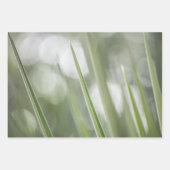 緑の植物の自然写真 ラッピングペーパーシート (正面)