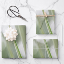 緑の植物の自然写真