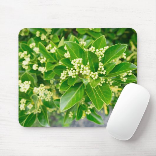 緑の植物美しい マウスパッド (マウス)