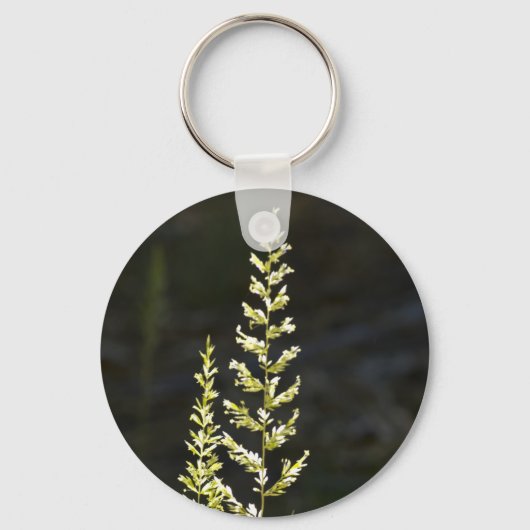緑の植物 キーホルダー (正面)