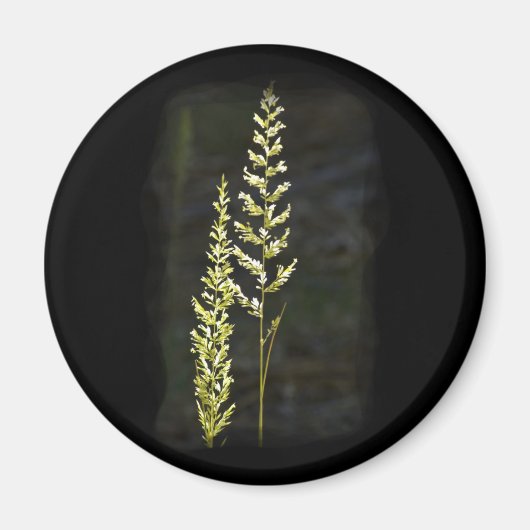 緑の植物 マグネット (正面)