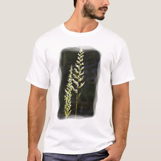 緑の植物 Tシャツ (正面)