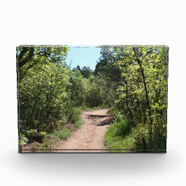 緑の歩道 フォトブロック