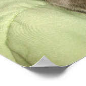 緑の毛布で眠る灰色の猫 ポスター (角)