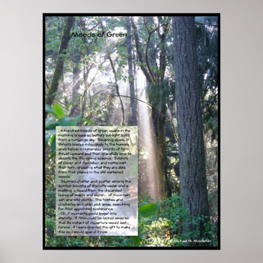 緑の気分 ポスター (正面)