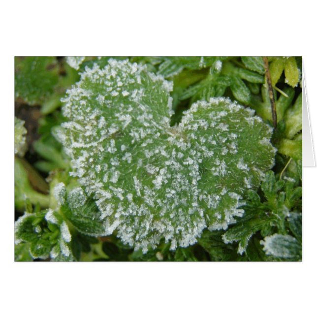 緑の氷ったハート (正面横)