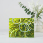 緑の波状葉書 ポストカード (スタンド正面)