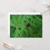 緑の海の女性のバグ – フラットグリーティングカード カード (正面/裏面インサイチュ)