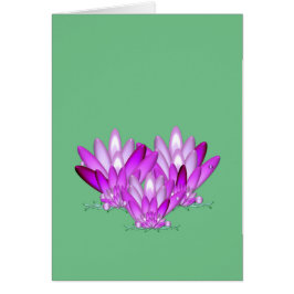 緑の海辺に咲く蓮の花