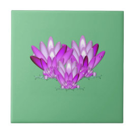 緑の海辺に咲く蓮の花 タイル